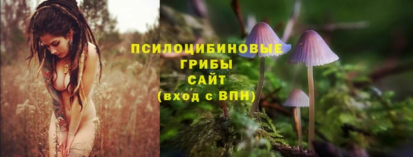 MDMA Premium VHQ Аркадак