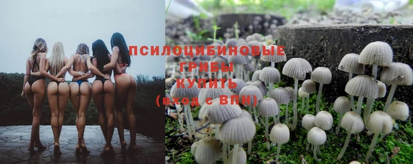 амф Армянск