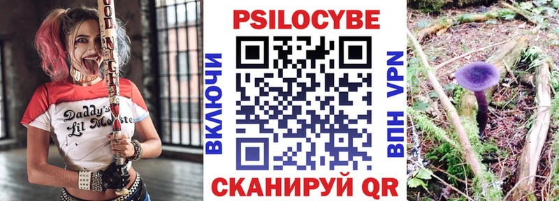 хочу   Кашин  Псилоцибиновые грибы GOLDEN TEACHER 